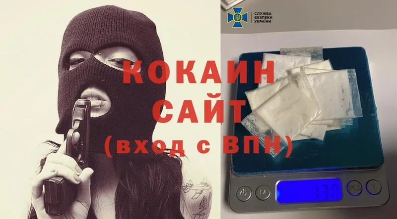 hydra ссылки  Дальнереченск  COCAIN FishScale 